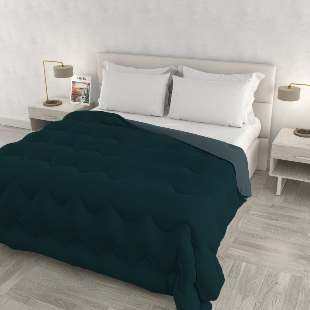 TRAPUNTA INVERNALE CAROL